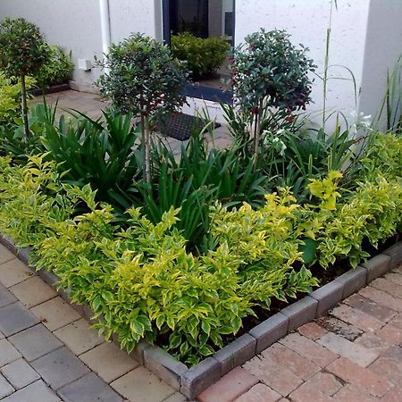 Rosebank Lodge Guesthouse By Claires Johannesburg Luaran gambar