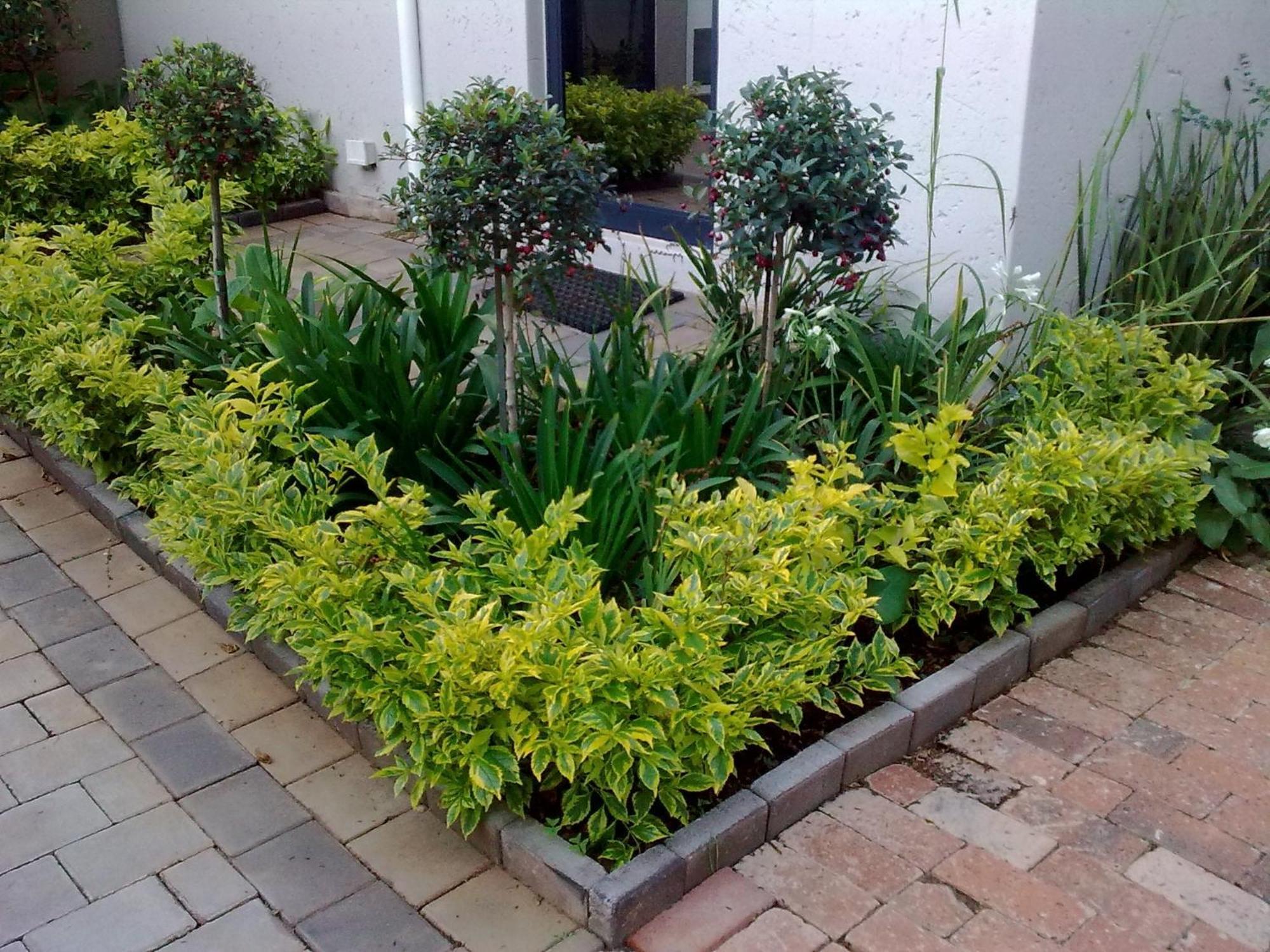 Rosebank Lodge Guesthouse By Claires Johannesburg Luaran gambar