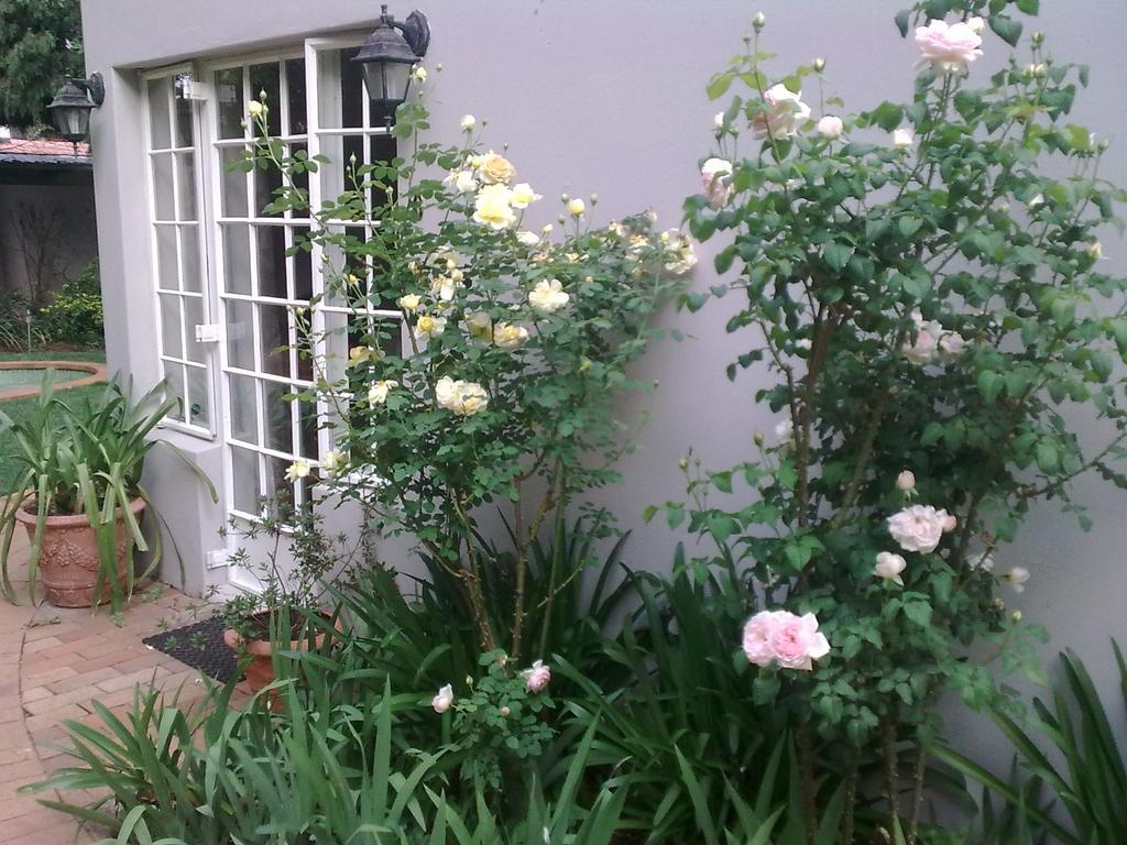 Rosebank Lodge Guesthouse By Claires Johannesburg Luaran gambar