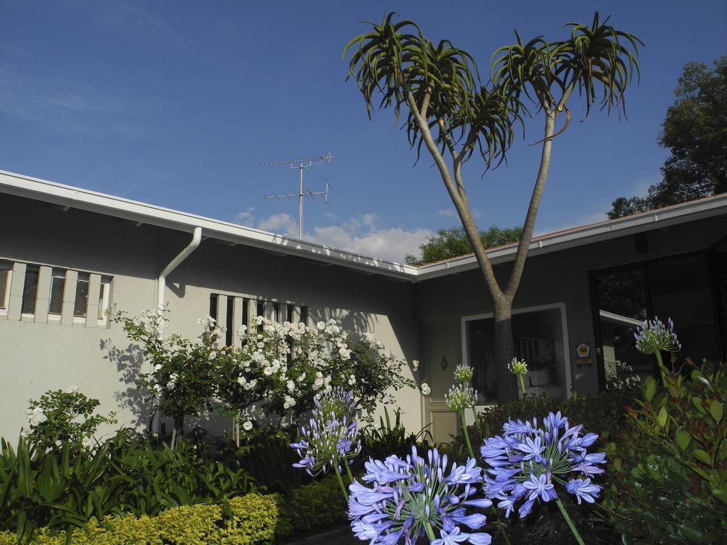 Rosebank Lodge Guesthouse By Claires Johannesburg Luaran gambar
