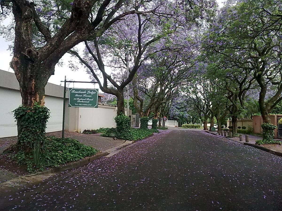 Rosebank Lodge Guesthouse By Claires Johannesburg Luaran gambar
